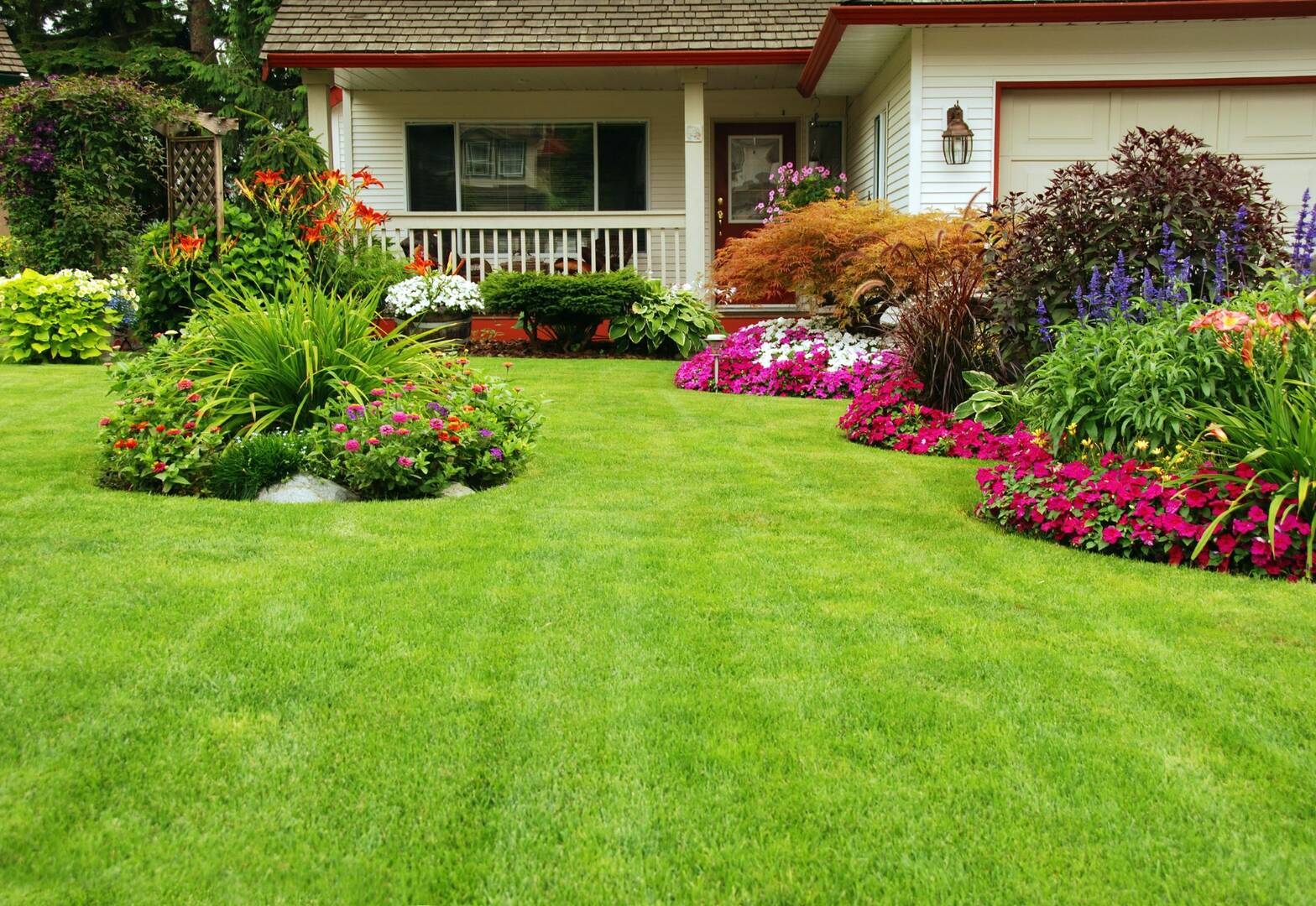 Good News Pest Solutions