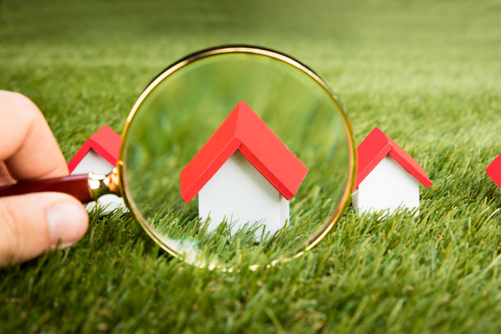 Lynn LeMaster, Broker Associate/REALTOR