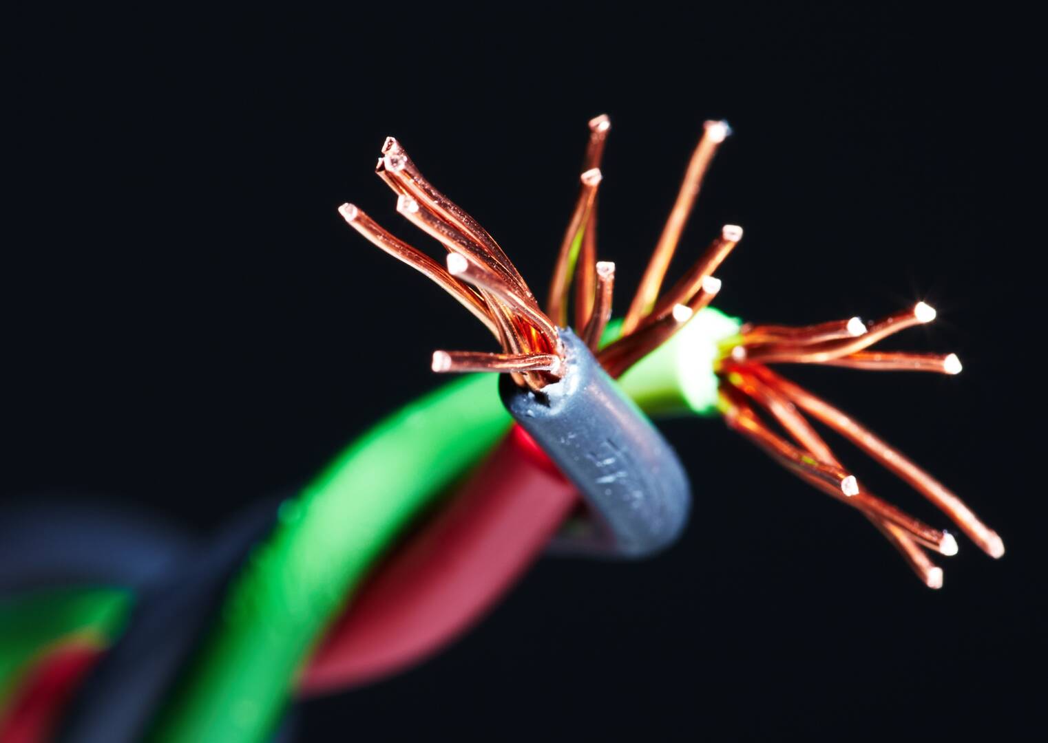 David's Electric